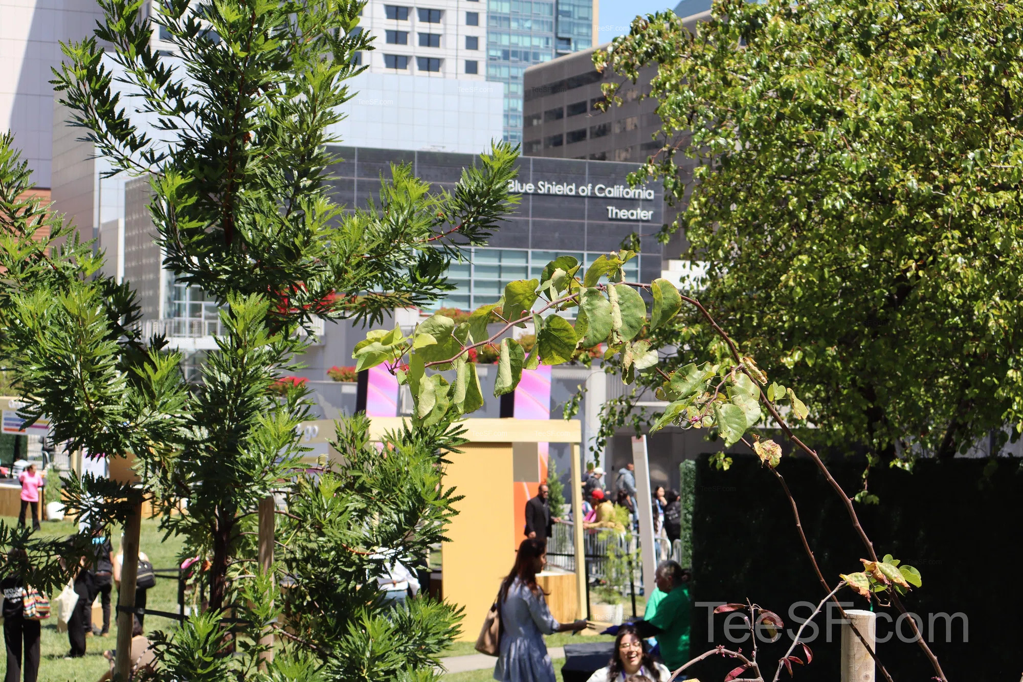 stripe Sessions Outdoor Garden And Crowds at Stripe Sessions 2026 in San Francisco.